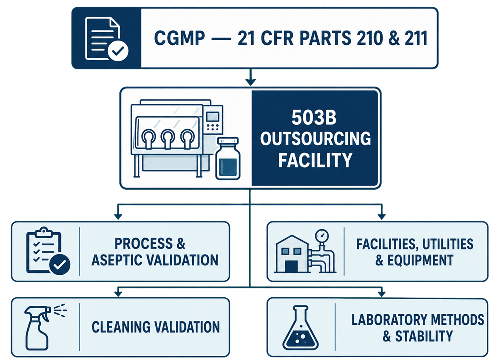 Validation controls for a section 503B outsourcing facility