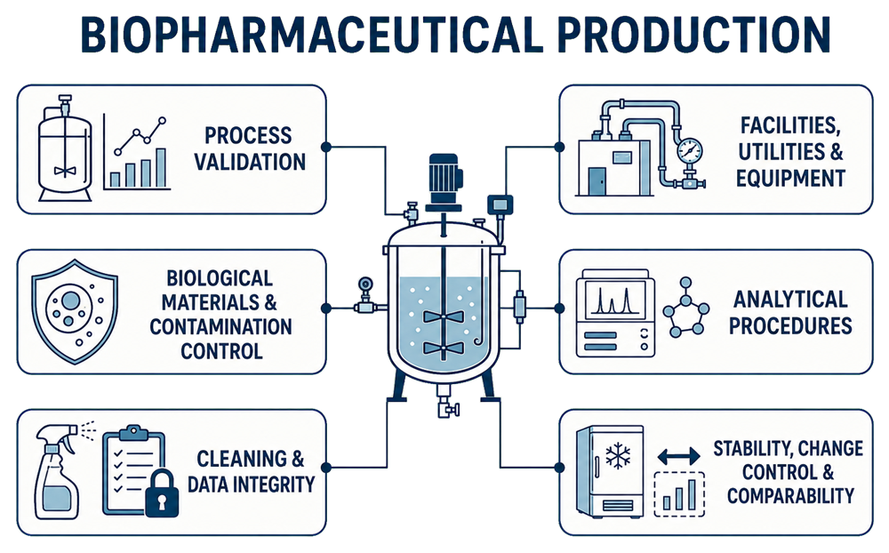 Biopharmaceutical production validation and lifecycle control areas
