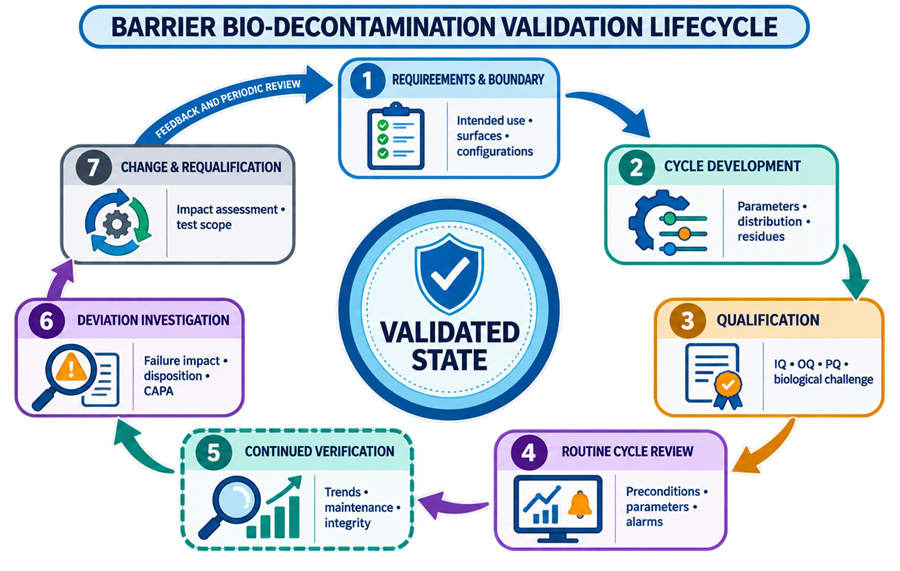 Lifecycle for barrier bio-decontamination from requirements and cycle development through qualification, routine review, trending, change control, and requalification