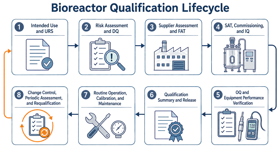 Bioreactor qualification lifecycle from intended use and URS through design, FAT, SAT, IQ, OQ, equipment performance verification, release, routine operation, and requalification.