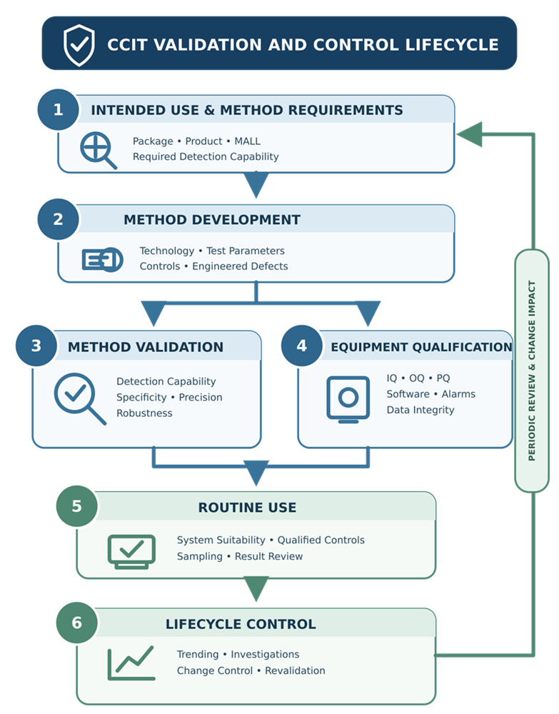 CCIT validation and control lifecycle showing intended use, method development, method validation, equipment qualification, routine use, periodic review, change control, and revalidation.