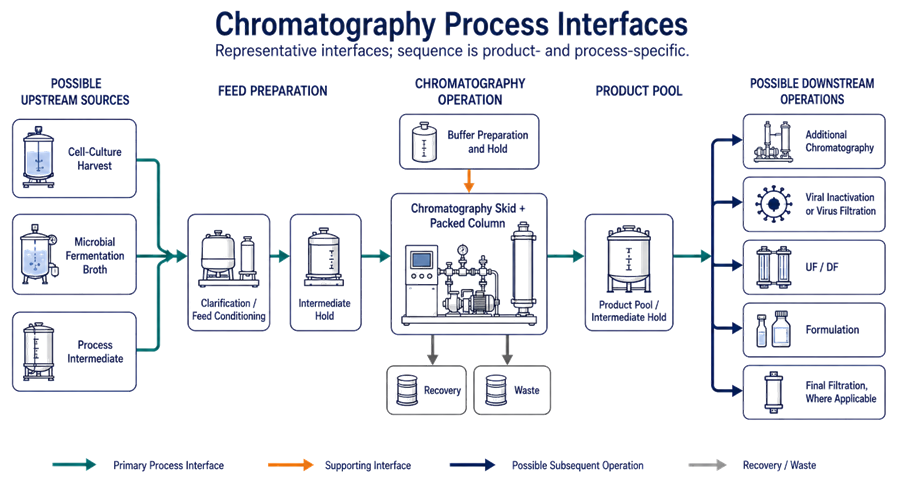 Chromatography process-interface diagram showing possible upstream sources, feed preparation, chromatography skid and packed column, product-pool hold, buffer support, recovery and waste, and possible downstream operations.