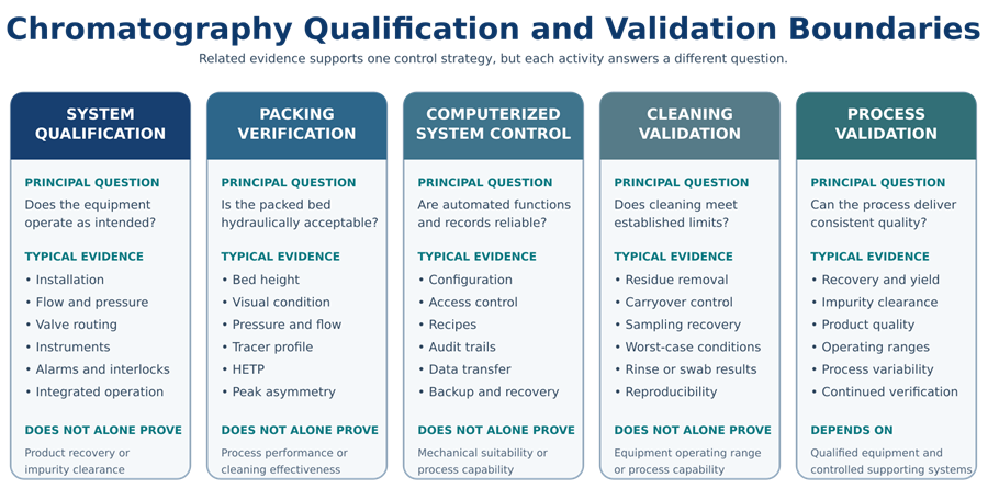 Comparison of chromatography system qualification, packing verification, computerized-system control, cleaning validation, and purification-process validation.