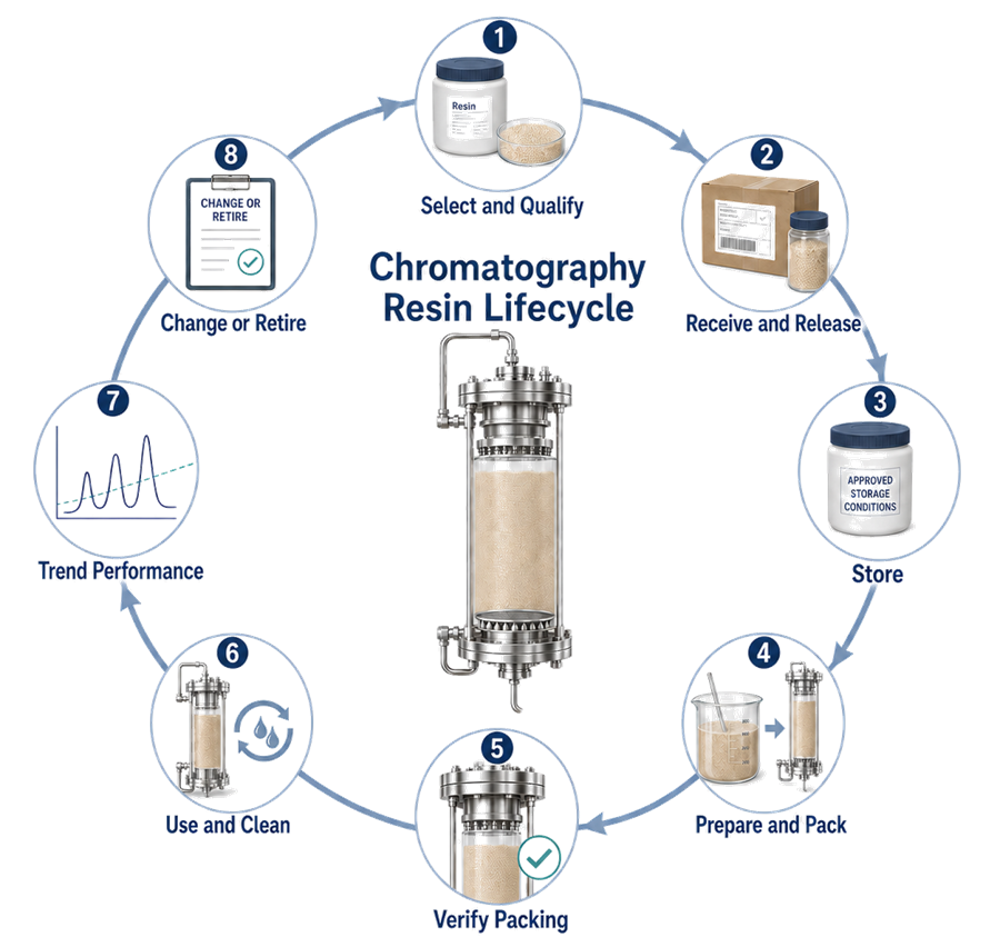 Chromatography resin lifecycle from selection and receipt through storage, packing, verification, process use, cleaning, performance trending, and retirement.