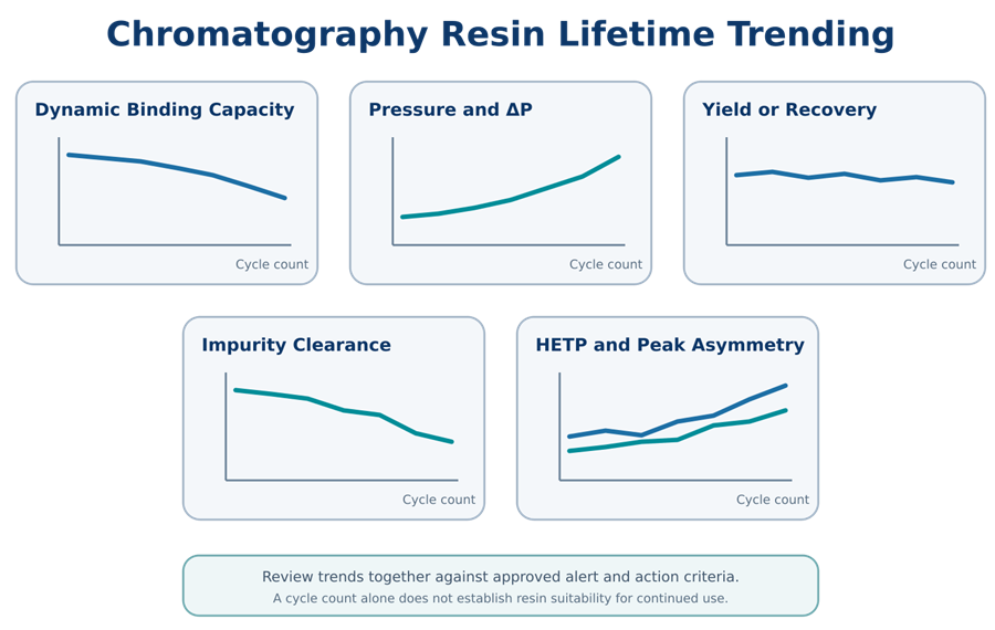 Resin-lifetime trending of binding capacity, pressure, recovery, impurity clearance, HETP, and peak asymmetry across process cycles.