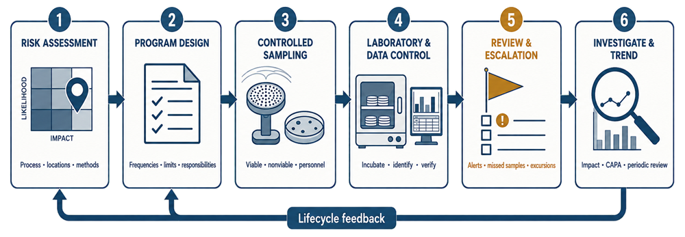 GMP environmental monitoring workflow showing risk assessment, program design, controlled viable and nonviable sampling, laboratory and data control, review and escalation, investigation and trending, and feedback to program design.