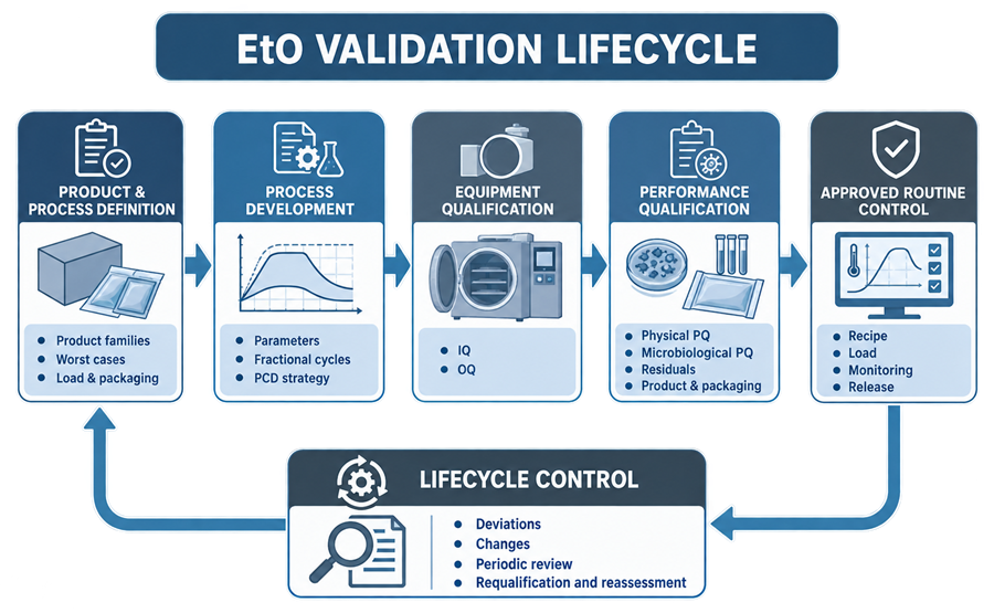 Ethylene oxide sterilization validation lifecycle connecting product definition, process development, equipment qualification, performance qualification, routine control, change control, and requalification.