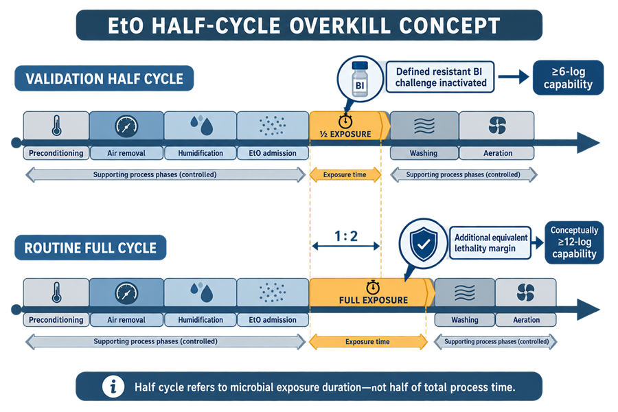 EtO half-cycle overkill diagram comparing validation half exposure with routine full exposure while supporting process phases remain controlled.