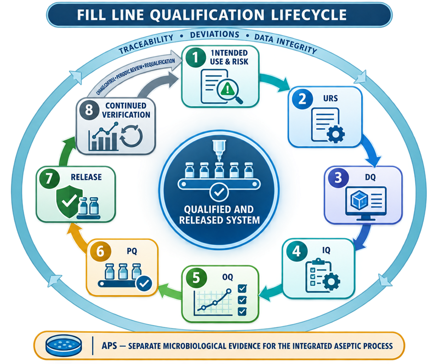Fill-line qualification lifecycle from intended use and risk assessment through URS, DQ, IQ, OQ, PQ, release, continued verification, change control, and requalification