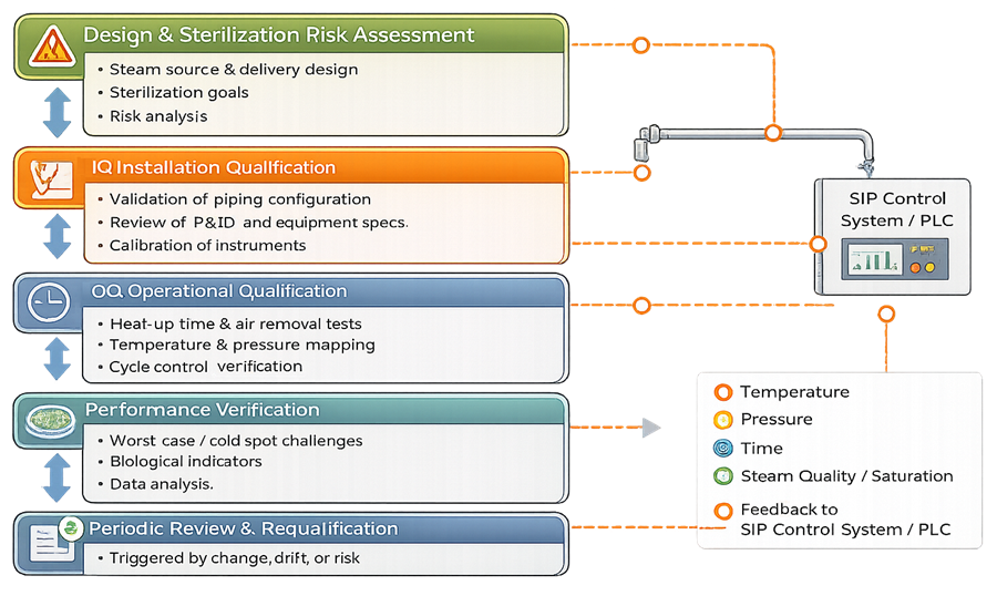 SIP qualification lifecycle from design and sterilization risk assessment through IQ, OQ, performance verification, periodic review, and requalification.