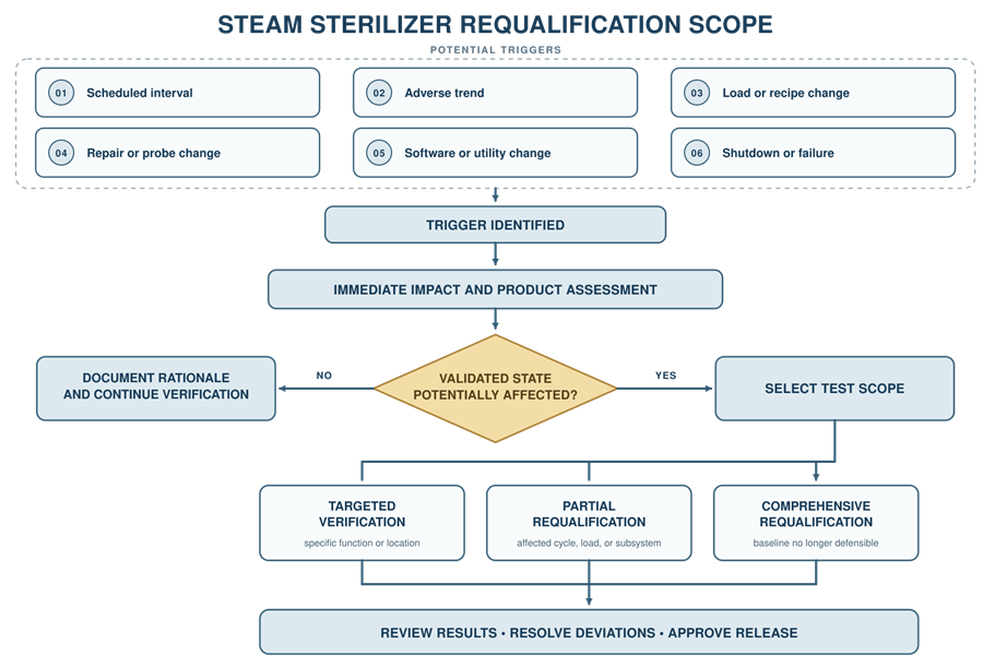 Steam sterilizer requalification decision diagram showing scheduled and event-driven triggers, impact assessment, and selection of targeted, partial, or comprehensive requalification.