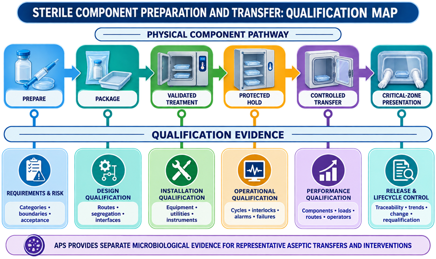 Qualification map connecting sterile component preparation, packaging, validated treatment, protected hold, transfer, and critical-zone presentation with requirements, DQ, IQ, OQ, PQ, release, and lifecycle control.