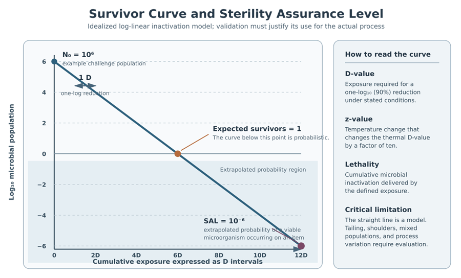 Log-linear survivor curve showing a 10⁶ starting microbial population, one-log D-value intervals, one expected survivor, and extrapolation to a sterility assurance level of 10⁻⁶.