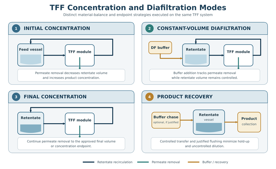 Four-stage TFF operating sequence showing initial concentration, constant-volume diafiltration, final concentration, and product recovery.