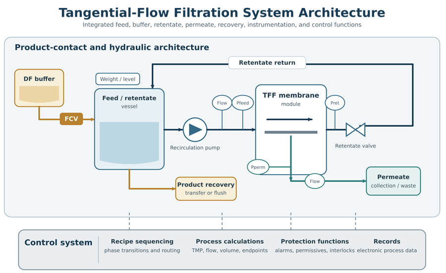 TFF system architecture showing feed vessel, diafiltration buffer, recirculation pump, membrane module, pressure and flow instruments, retentate return, permeate collection, product recovery, and automation.
