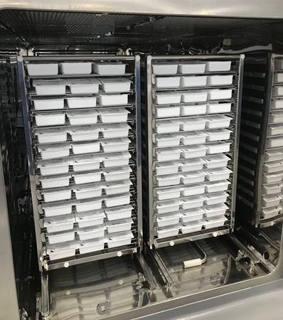 Interior of a large VHP chamber containing densely loaded stainless-steel tray carts.