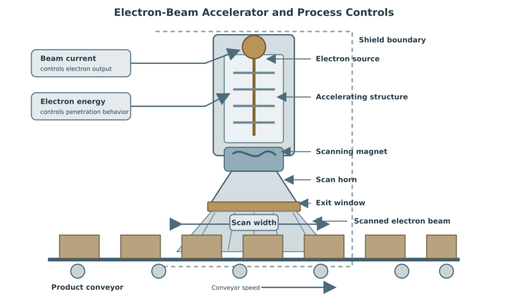Electron-beam accelerator showing the electron source, accelerating structure, scanning magnet, scan horn, exit window, scanned beam, product conveyor, shield boundary, and controls for beam current, electron energy, scan width, and conveyor speed.