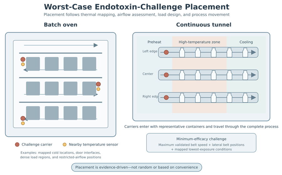 Comparison of worst-case endotoxin-challenge placement in a batch oven and continuous depyrogenation tunnel