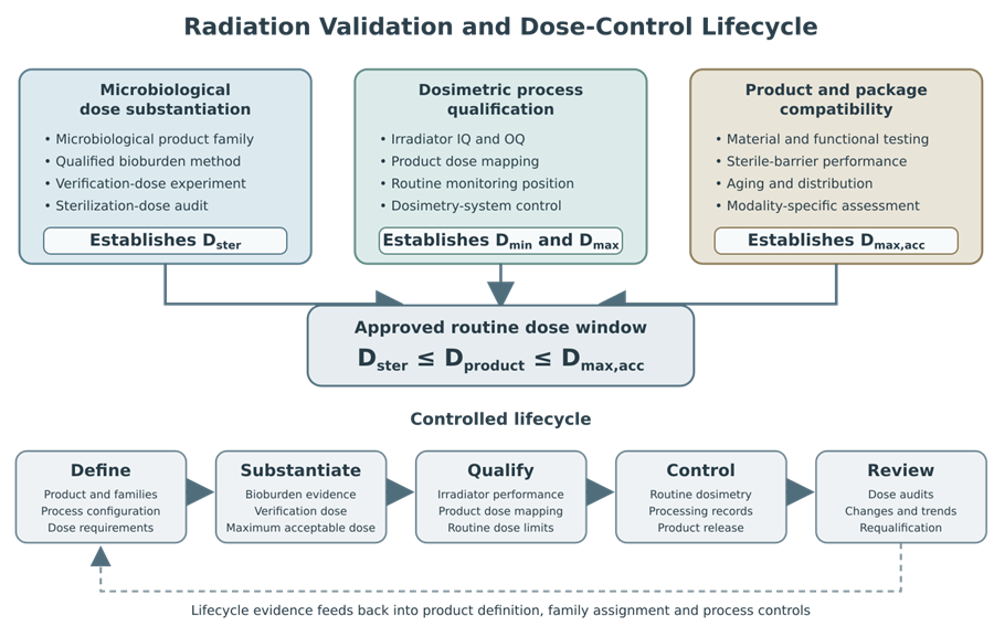 Radiation sterilization validation lifecycle showing microbiological dose substantiation, dosimetric process qualification, and product and package compatibility establishing the approved routine dose window, followed by definition, substantiation, qualification, routine control, review, and requalification.