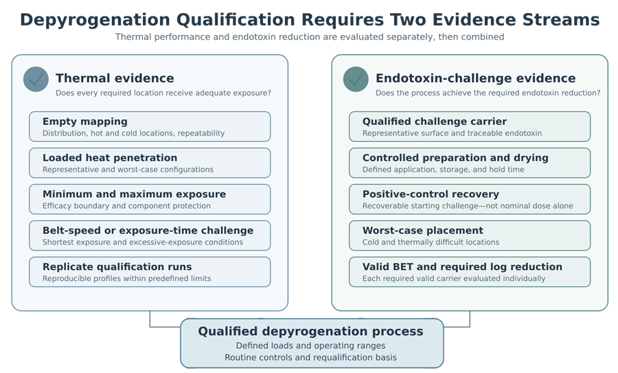 Two-column depyrogenation qualification diagram showing thermal evidence and endotoxin-challenge evidence converging into a qualified process