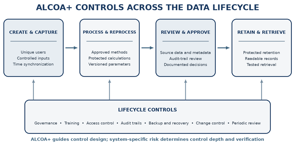 ALCOA+ controls applied during data creation, processing, review, retention, and retrieval.