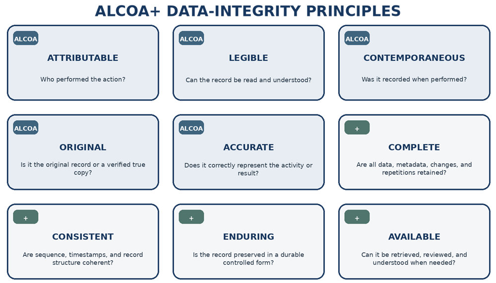 ALCOA+ data-integrity principles showing attributable, legible, contemporaneous, original, accurate, complete, consistent, enduring, and available.