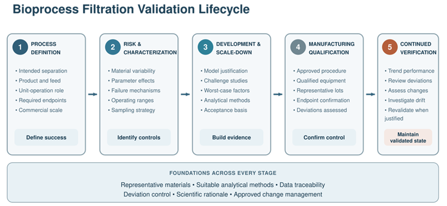 Bioprocess filtration validation lifecycle connecting process design, development and scale-down studies, manufacturing qualification, continued verification, and change assessment.