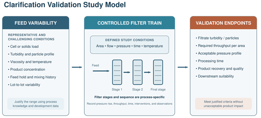 Clarification filtration validation model connecting feed variability, filter loading, pressure and throughput with filtrate quality, capacity, processing time, and product recovery.
