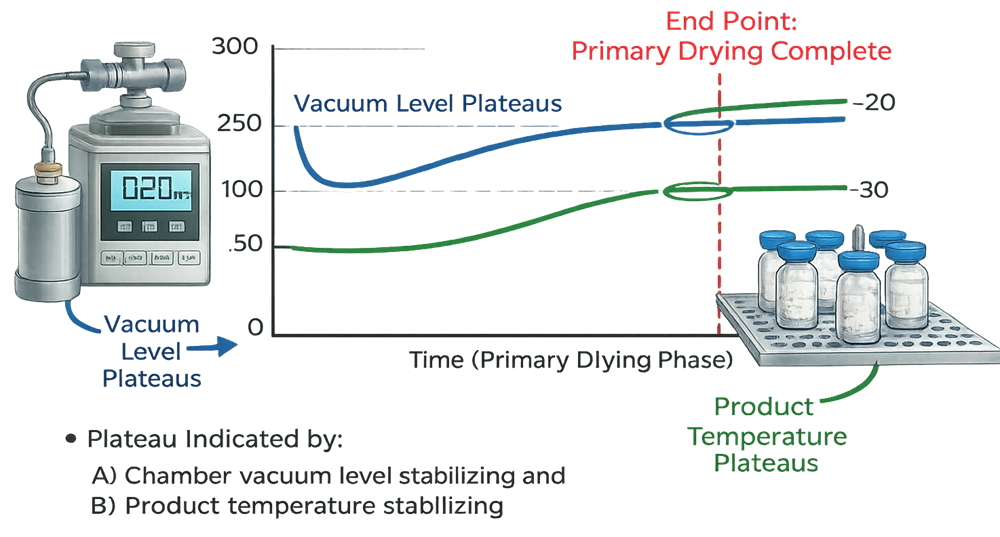 Primary-drying endpoint assessment using product temperature, pressure measurements, and other validated indicators.
