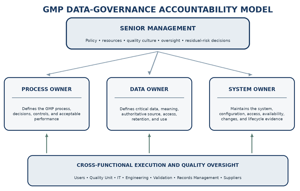 GMP data-governance accountability model showing senior management, process owner, data owner, system owner, cross-functional execution, and quality oversight.