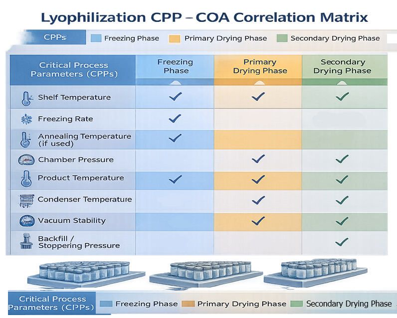 Relationship between lyophilization process parameters and product critical quality attributes.
