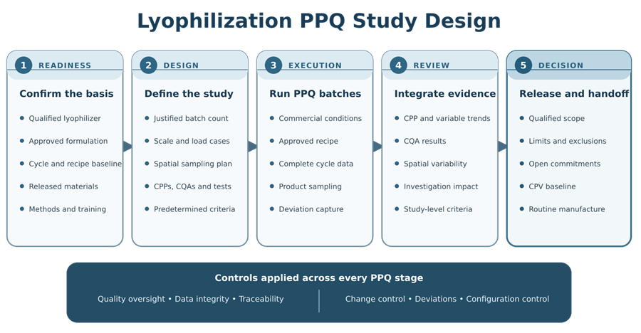 Lyophilization PPQ workflow from readiness assessment through batch execution, testing, integrated review, and process release.