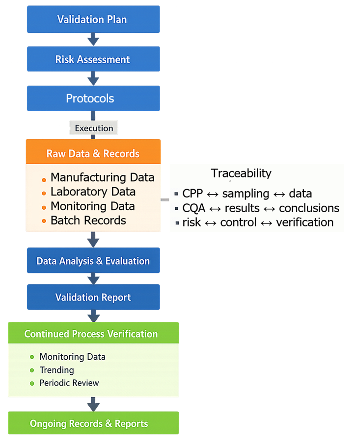 Process validation documentation structure showing validation plan, risk assessment, protocols, raw data, data analysis, validation report, and continued process verification with traceability across all stages.