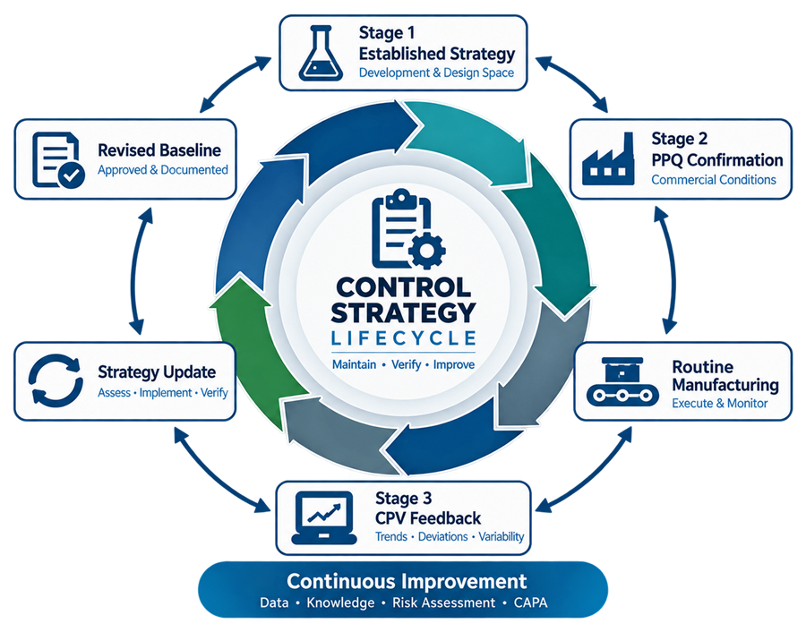 Established process control strategy lifecycle from Stage 1 baseline through PPQ confirmation, routine implementation, CPV feedback, and lifecycle update.
