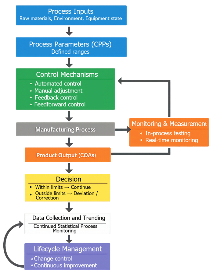 Continued Process Verification showing ongoing monitoring and statistical trending of CPPs and CQAs to detect variability, trends, and loss of process control during routine manufacturing.