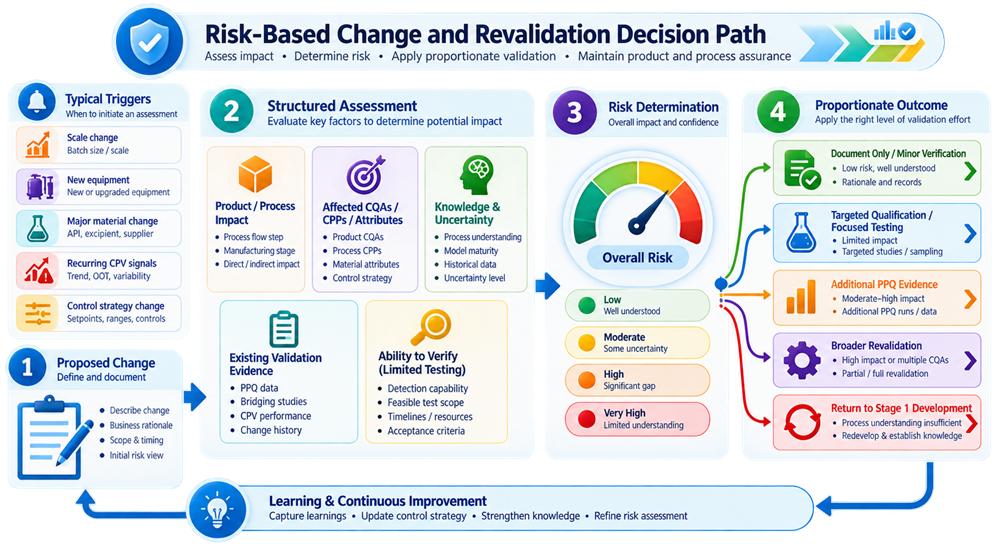 Risk-based process validation change and revalidation decision showing process knowledge, uncertainty, impact, existing evidence, and required validation response.