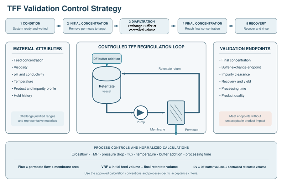 Tangential-flow filtration validation control strategy showing concentration, diafiltration, final concentration, product recovery, process parameters, and performance endpoints.