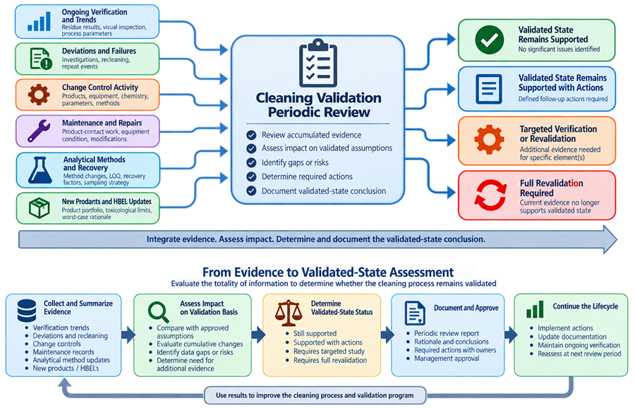 Cleaning validation lifecycle assessment showing accumulated verification data, deviations, CAPA, product and equipment changes, analytical and sampling updates, and maintenance converging into an assessment of whether the validated state remains supported.