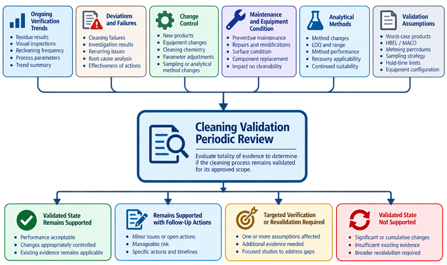 Cleaning validation periodic review framework integrating ongoing verification, deviations, changes, maintenance, analytical capability, CAPA, and validation assumptions into a formal validated-state conclusion.