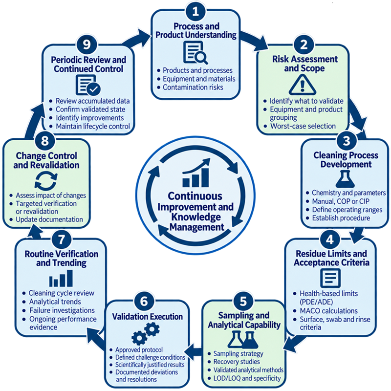 Cleaning validation lifecycle showing process understanding, risk assessment, cleaning development, residue limits, sampling and analytical capability, validation execution, routine verification, change control, and periodic review.