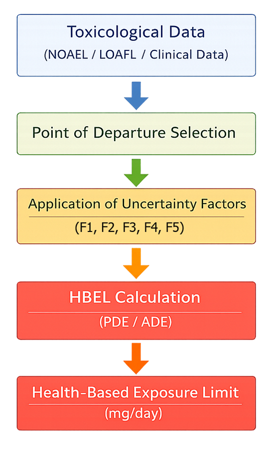 Health-Based Exposure Limit derivation diagram showing progression from toxicological data including NOAEL and LOAEL through point of departure selection and application of uncertainty factors F1 to F5 to final PDE or ADE value expressed in mg per day