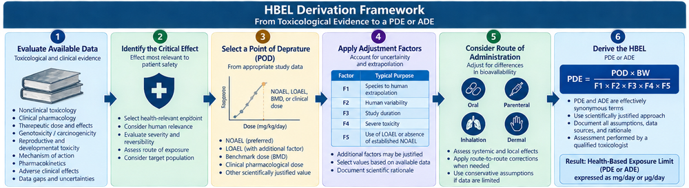 Health-based exposure limit derivation framework showing toxicological and clinical data, critical effect identification, point-of-departure selection, adjustment factors, route assessment, and final PDE or ADE.