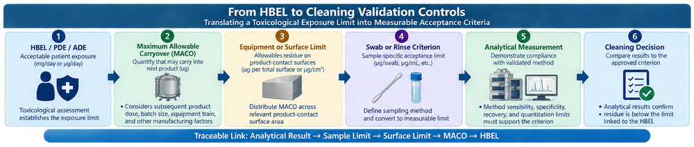Cleaning validation flow showing translation of an HBEL or PDE into maximum allowable carryover, equipment residue limits, surface limits, swab and rinse criteria, and analytical acceptance decisions.
