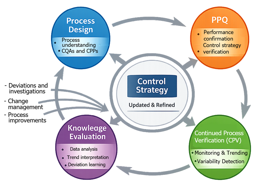 Lifecycle integration model showing process design, PPQ, and continued process verification connected in a loop with knowledge evaluation feeding back into process understanding and control strategy.