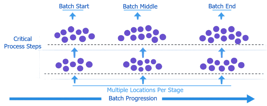 Diagram showing sampling points across batch progression and critical process steps to ensure coverage of intra-batch variability.