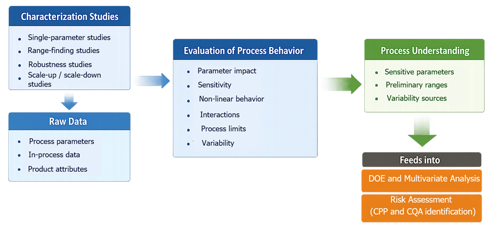 Process characterization model showing flow from study types to raw data, evaluation of process behavior, and outputs feeding into DOE and risk assessment for CPP and CQA identification.