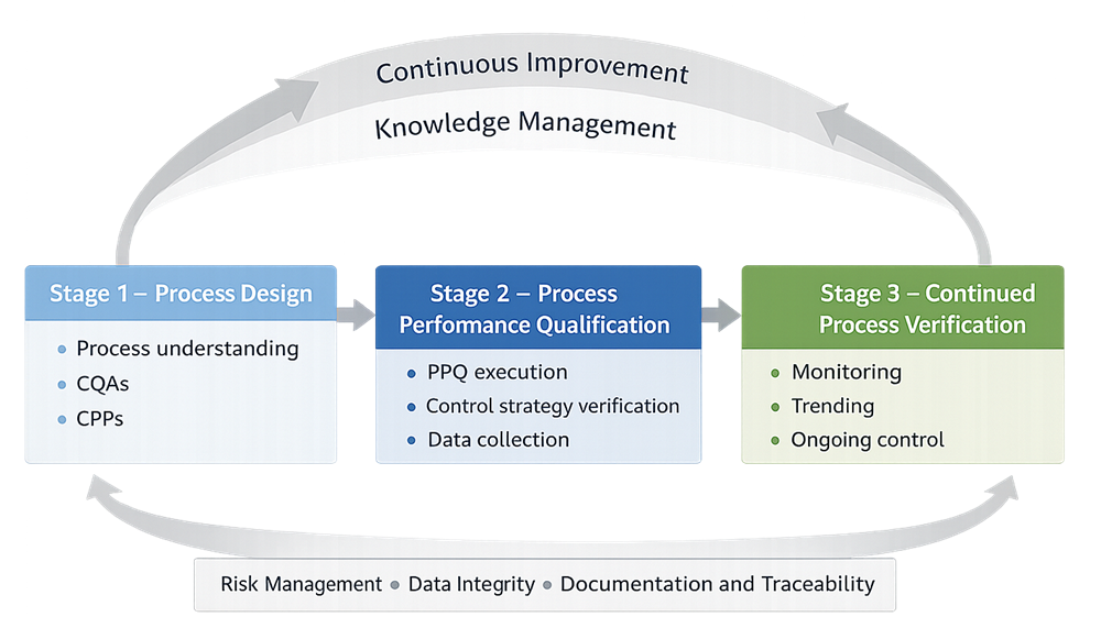 Process validation lifecycle model showing process design, PPQ, and continued process verification with continuous improvement feedback loop and supporting elements including risk management, data integrity, documentation, and change management.