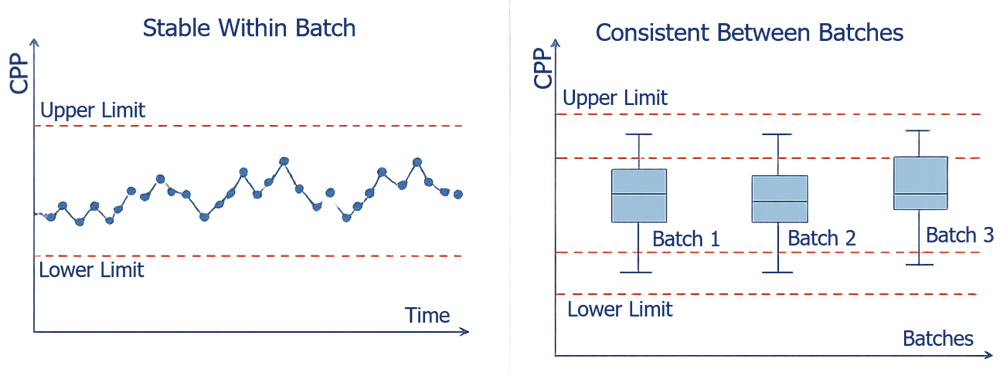 Diagram showing CPP variation within a batch over time and comparison of CPP values across multiple batches to demonstrate consistency.