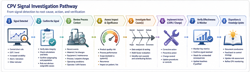 CPV investigation pathway from statistical signal detection through data confirmation, process-context review, investigation, CAPA, and lifecycle action.