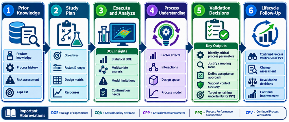Translation of Design of Experiments results into pharmaceutical process validation decisions and lifecycle follow-up